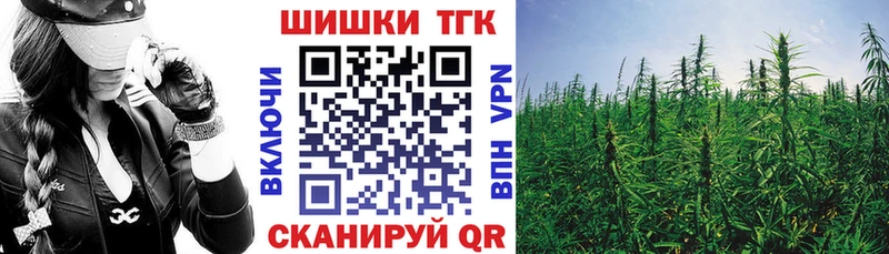 Шишки марихуана семена  Кирсанов 